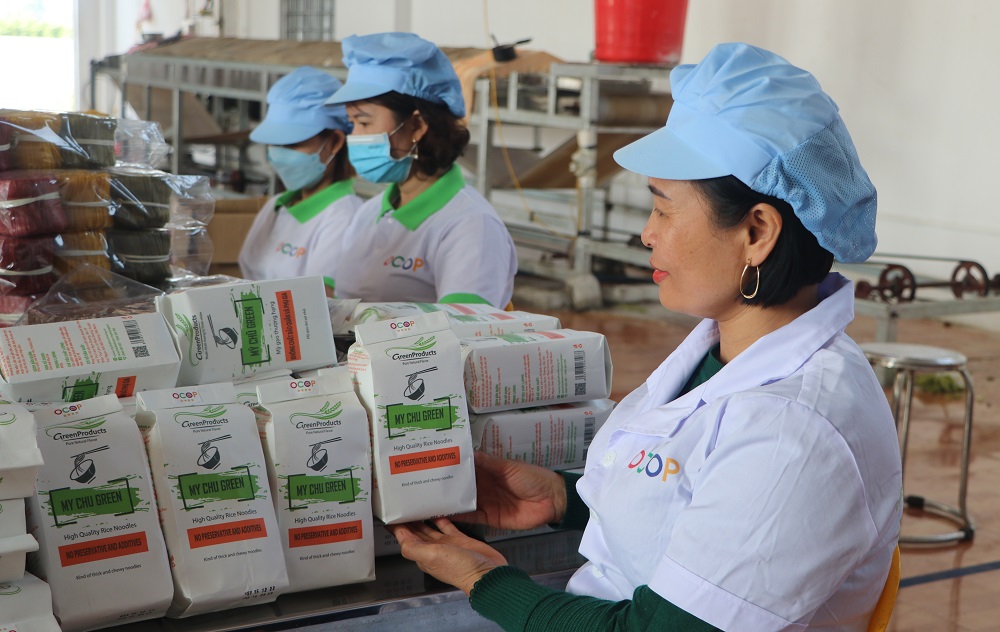 Great potential to develop OCOP products from craft villages in Bac Giang